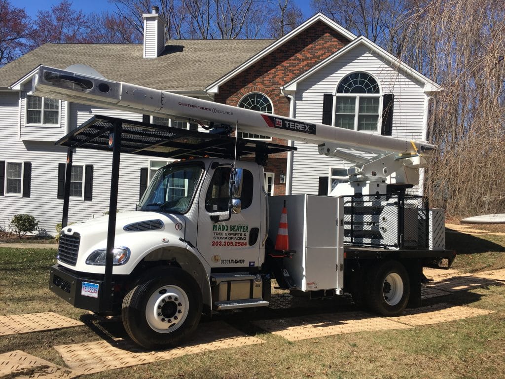 Tree Removal Truck