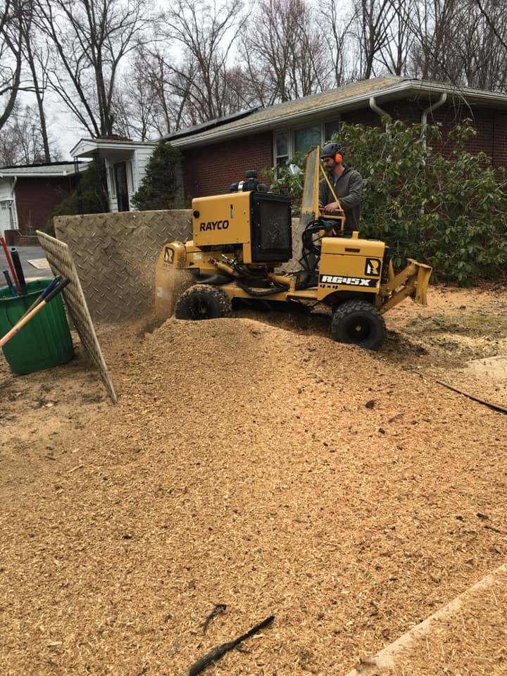 Stump Grinding Cleanup