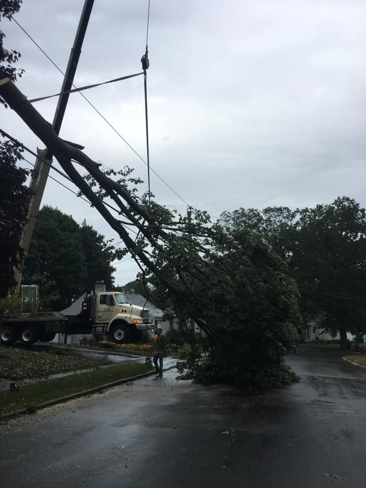 Crane Tree Service