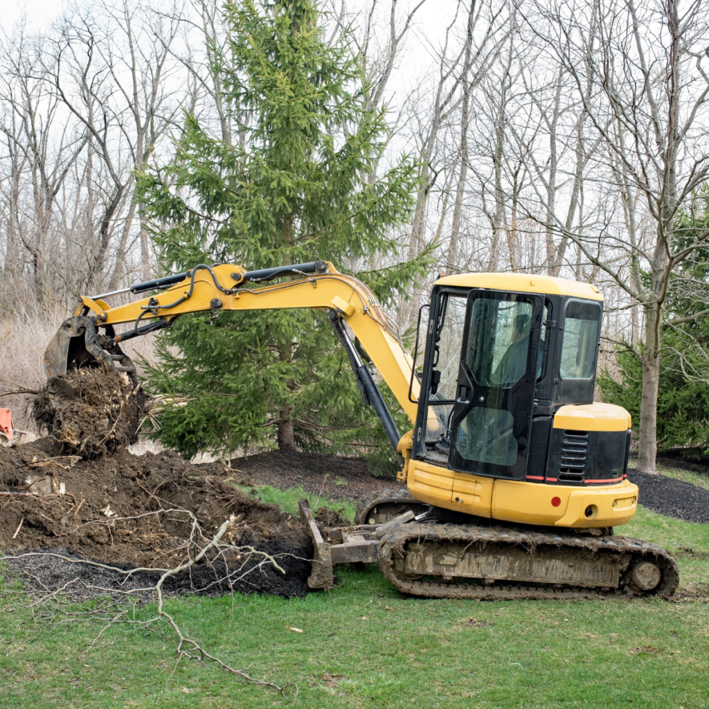 commercial tree remvCommercial tree removal